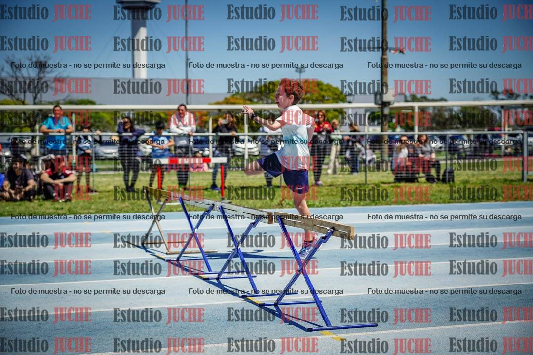 Fotos de los 60 m con vallas de varones