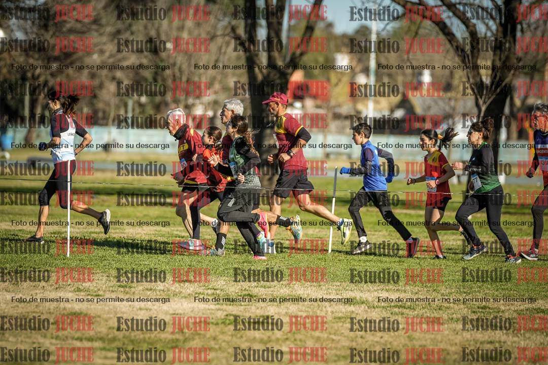 Fotos en el circuito