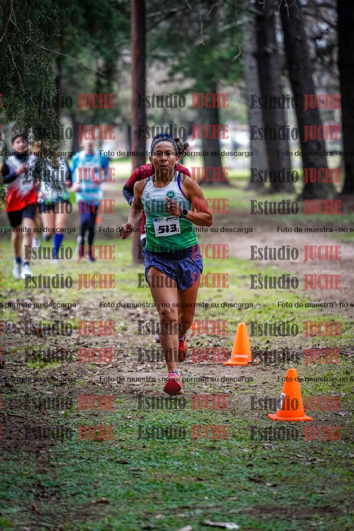 Fotos en el circuito