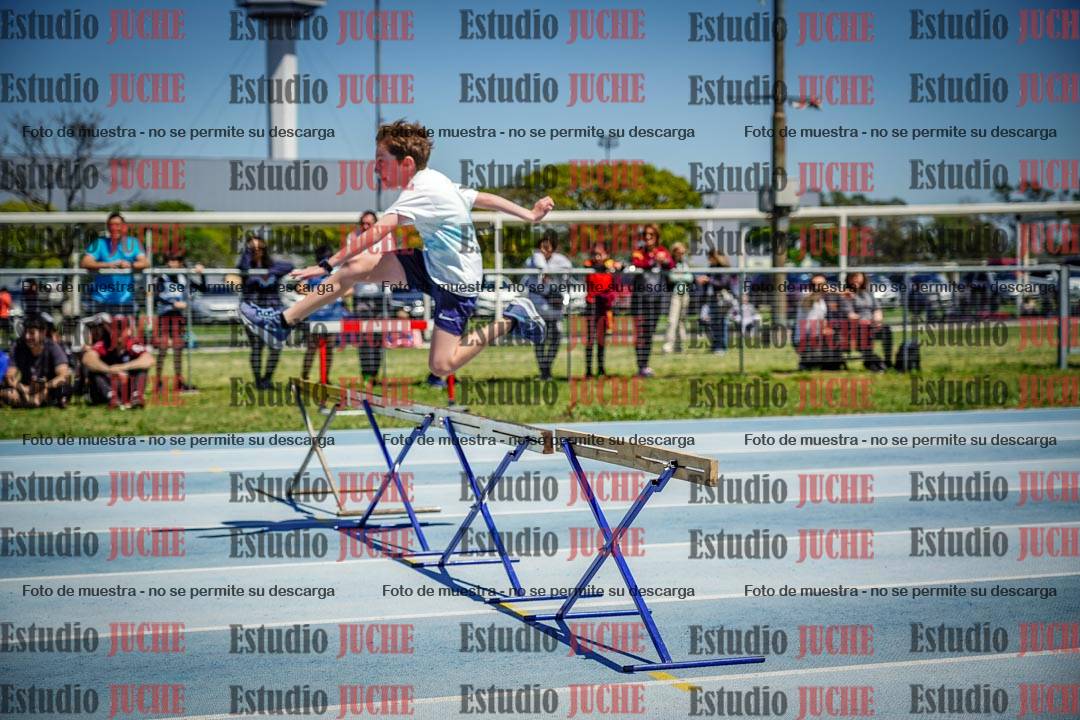 Fotos de los 60 m con vallas de varones