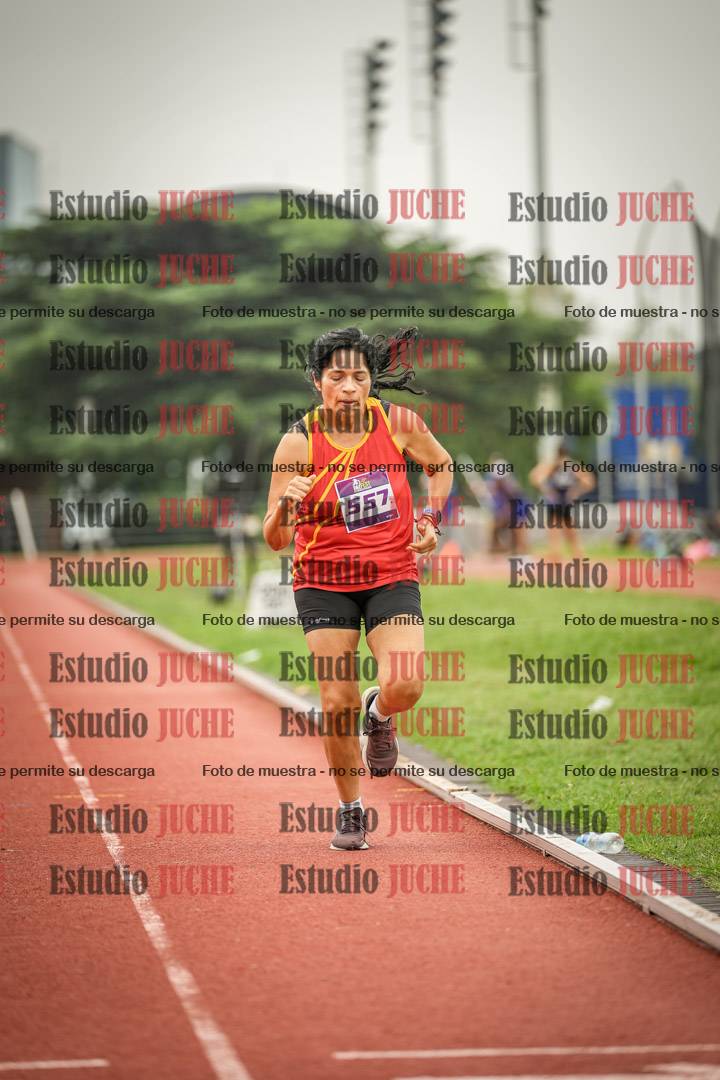 Fotos de los 800 m llanos de mujeres