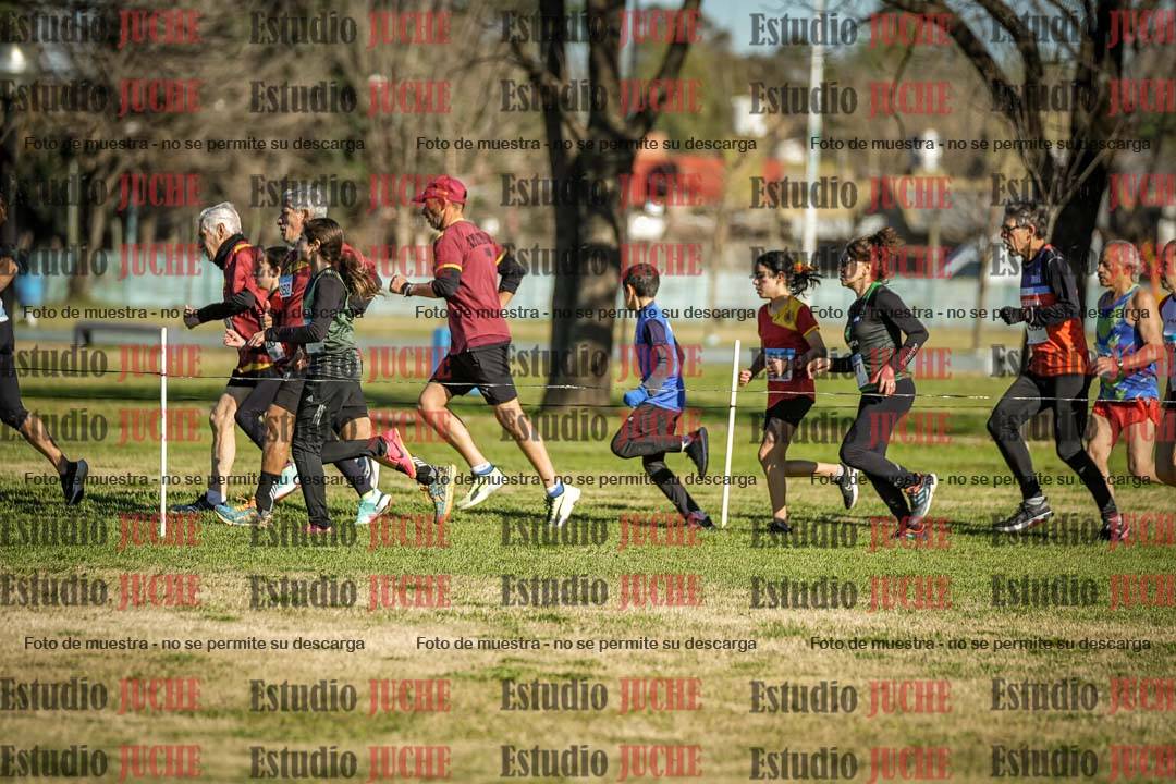 Fotos en el circuito