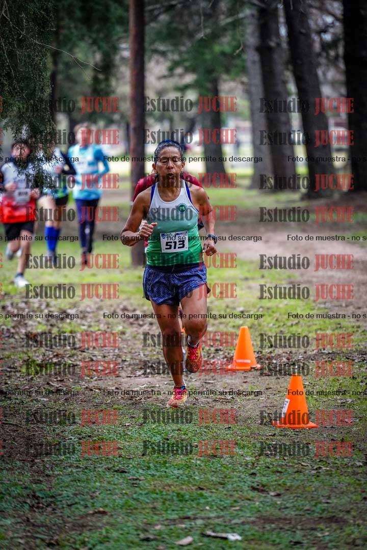 Fotos en el circuito
