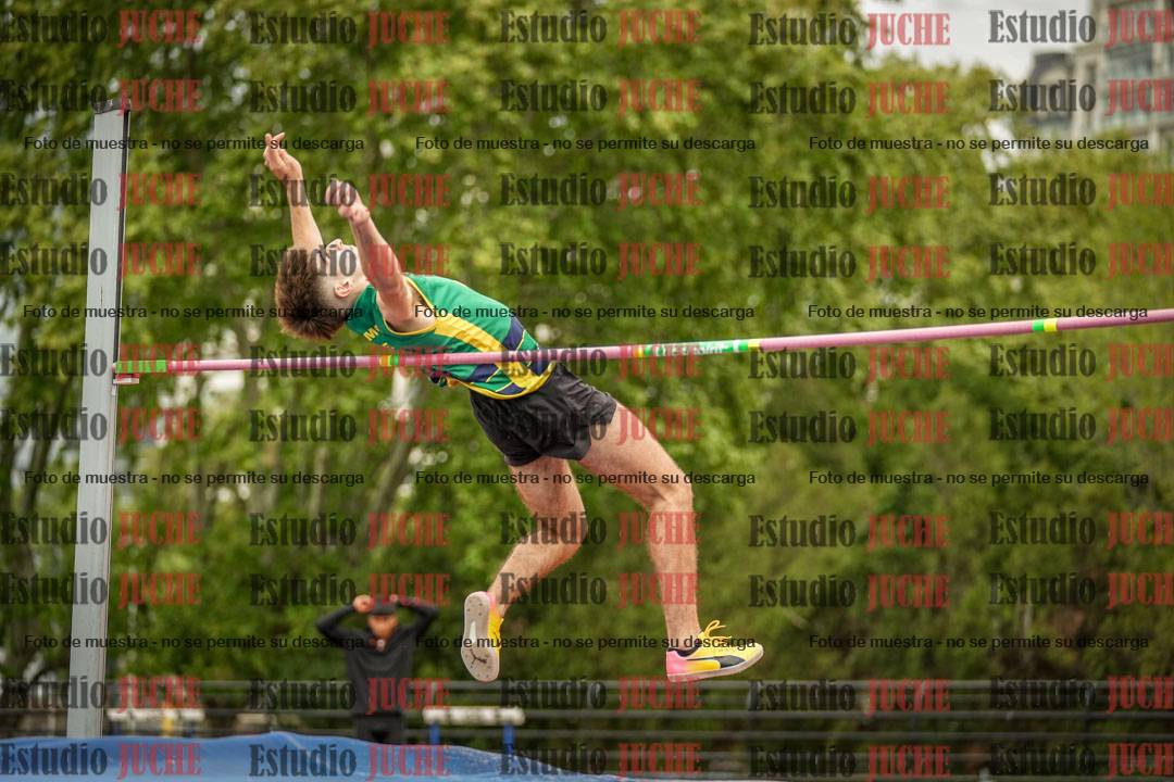 Fotos del salto en alto de varones