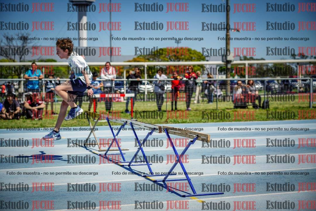 Fotos de los 60 m con vallas de varones