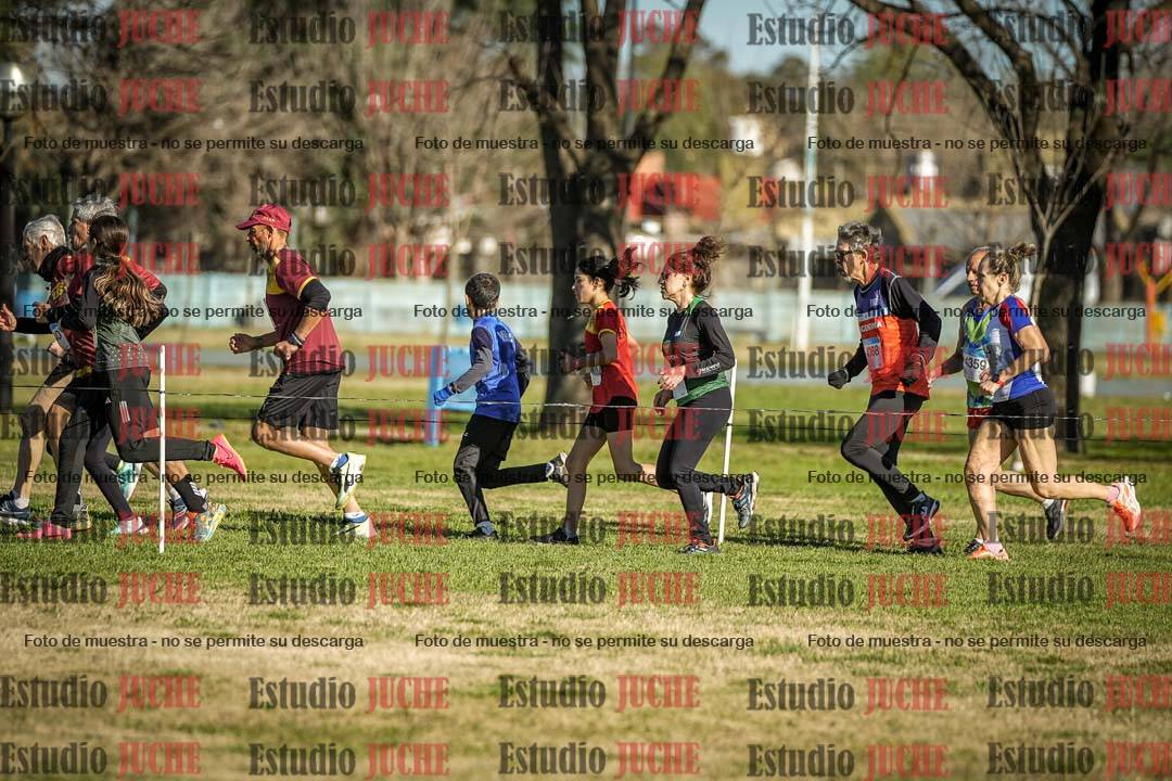 Fotos en el circuito