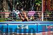 Fotos del salto en alto