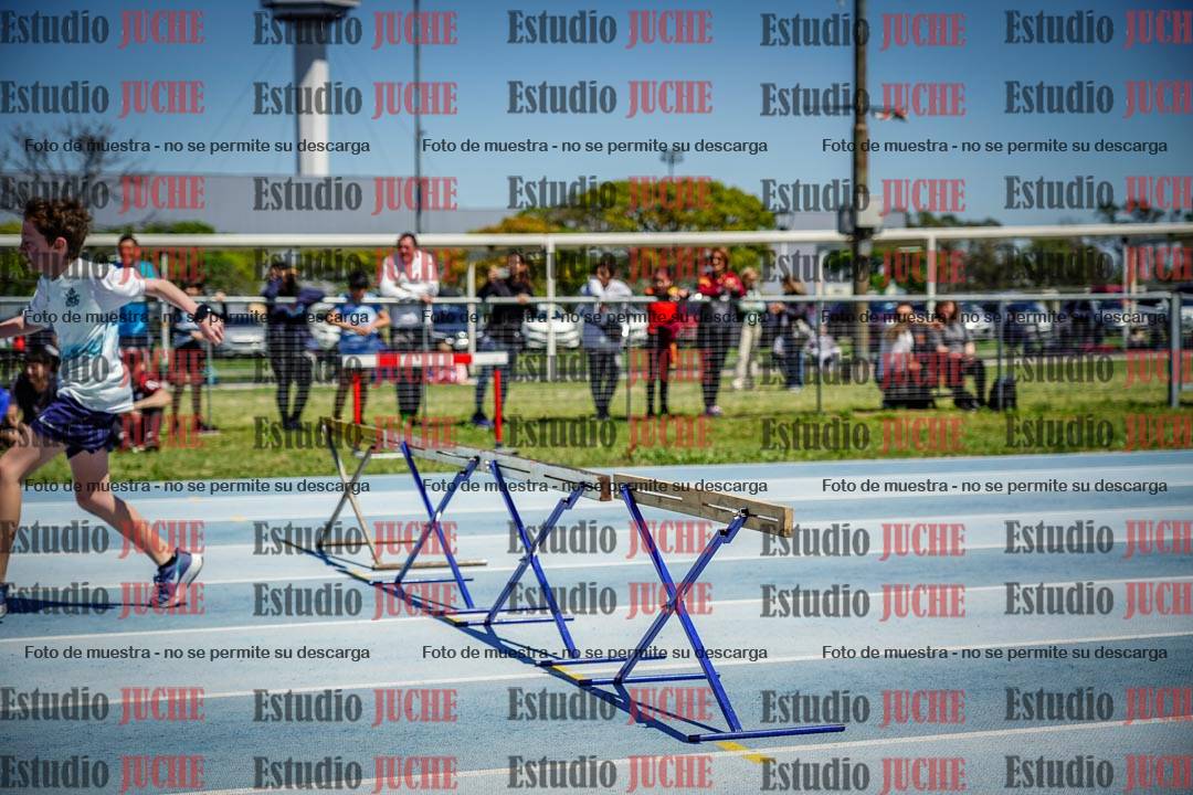 Fotos de los 60 m con vallas de varones