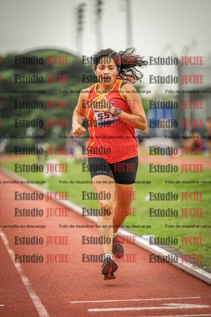 Fotos de los 800 m llanos de mujeres