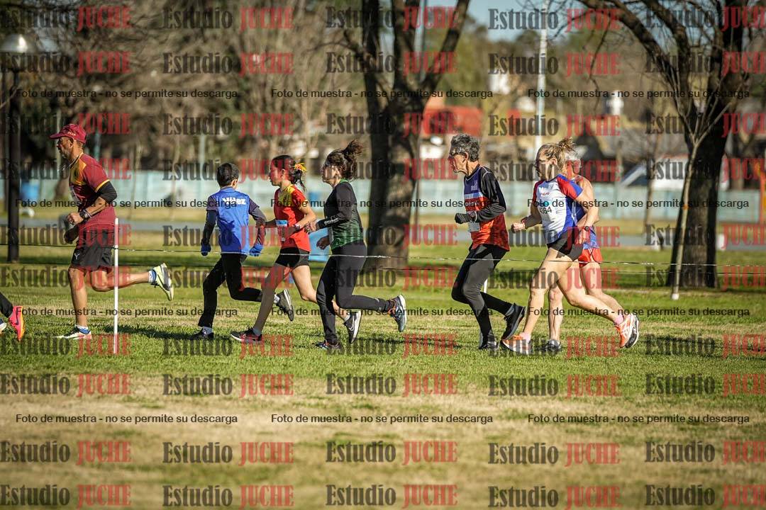 Fotos en el circuito