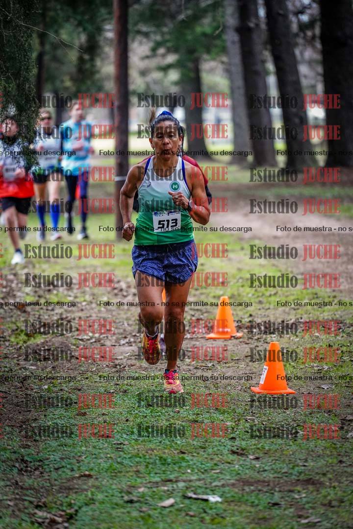 Fotos en el circuito