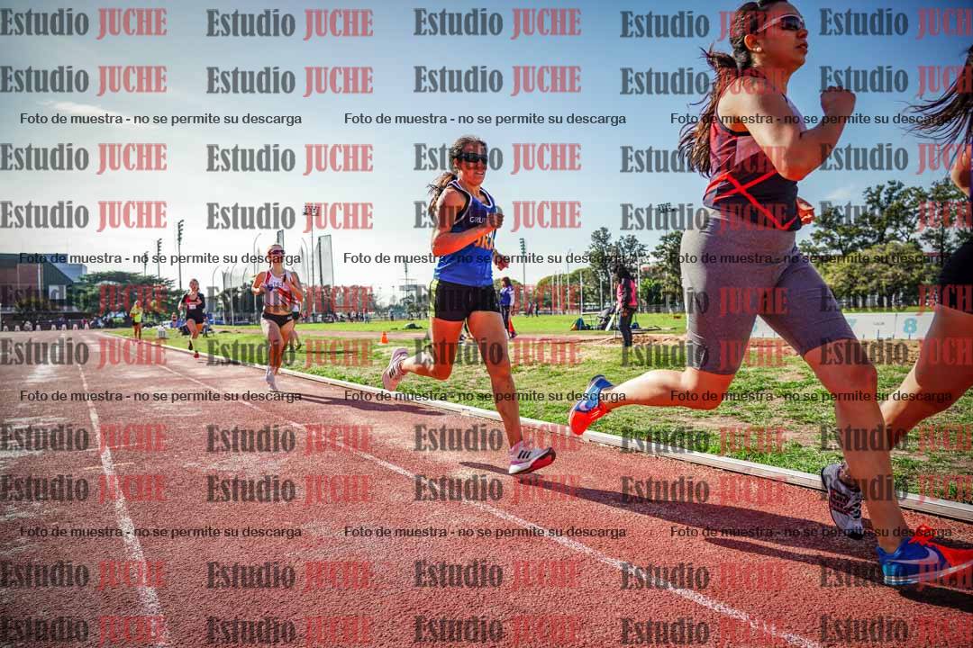 Fotos de los 800 m llanos de mujeres
