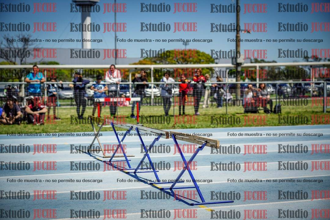 Fotos de los 60 m con vallas de varones