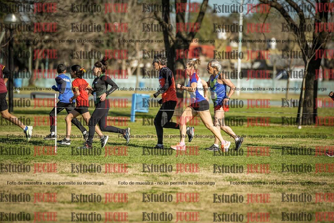 Fotos en el circuito