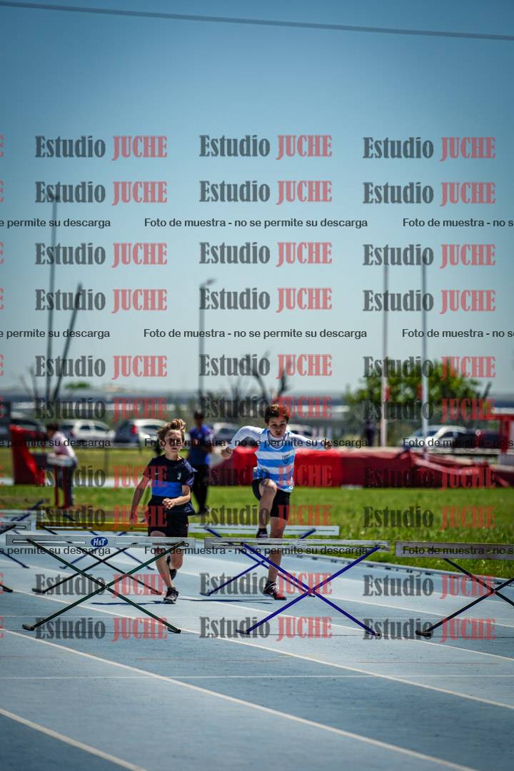 Fotos de los 60 m con vallas de varones