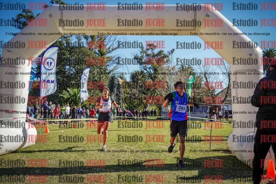 Fotos de la llegada del cross de 6000 m