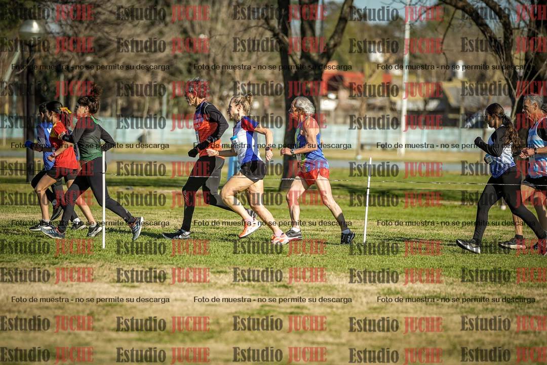 Fotos en el circuito
