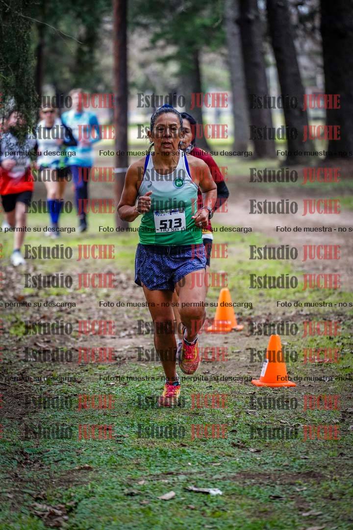 Fotos en el circuito