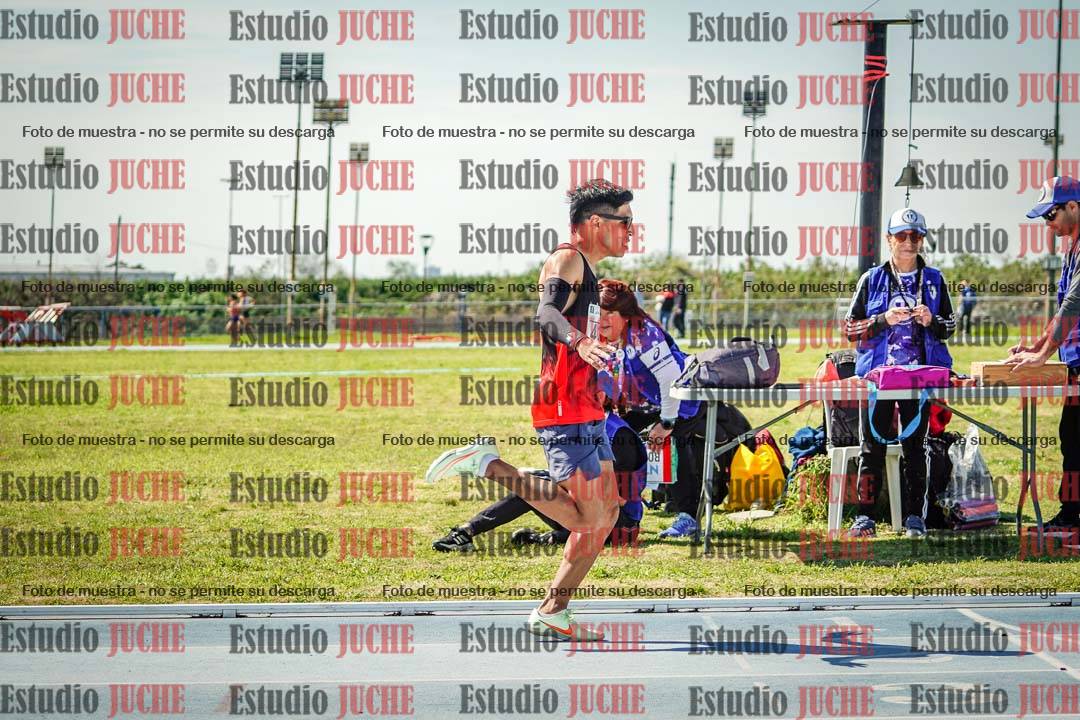 Fotos de los 800 m llanos de varones