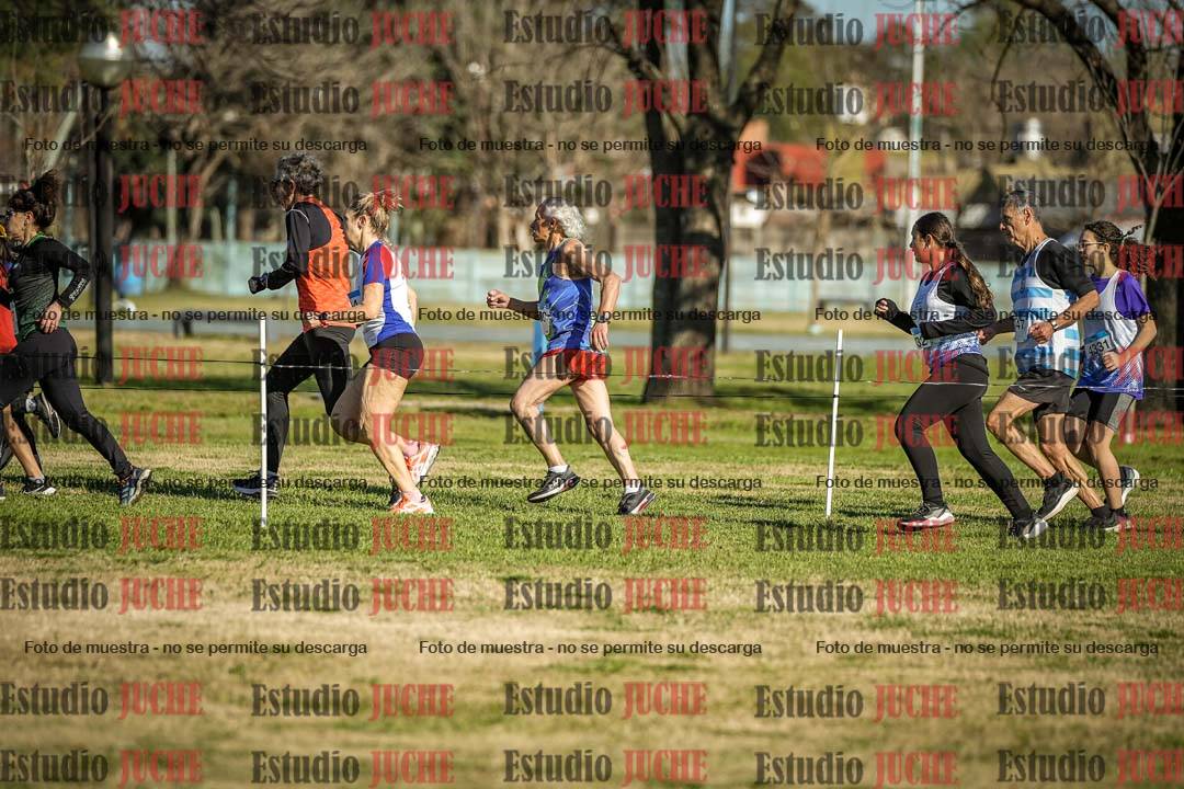 Fotos en el circuito