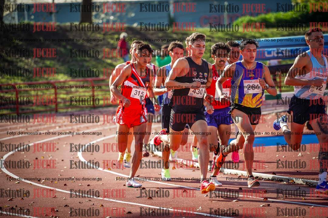 Fotos de los 1500 m llanos de varones