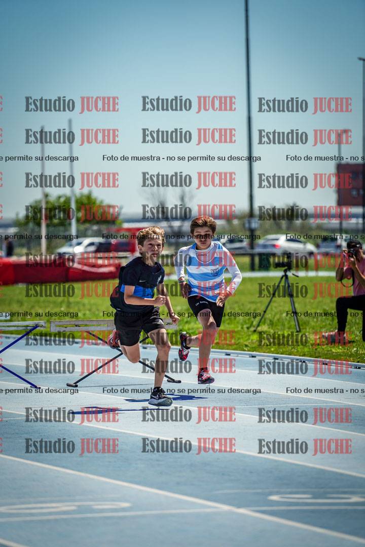 Fotos de los 60 m con vallas de varones