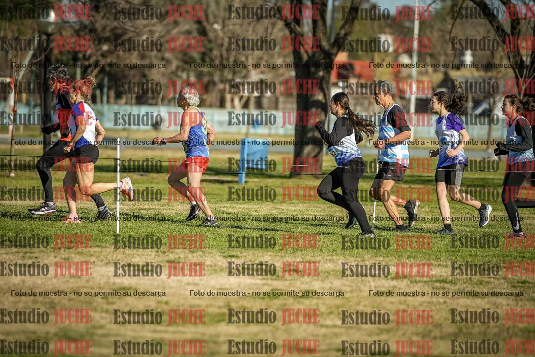 Fotos en el circuito