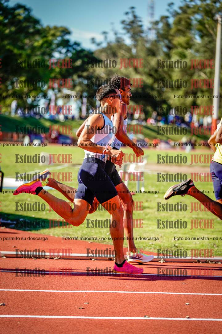 Fotos de los 800 m llanos de varones