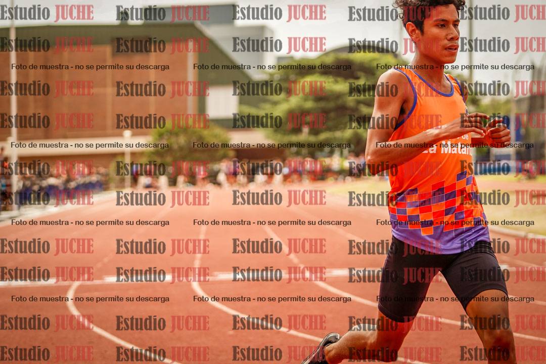 Fotos de los 100 m llanos de varones