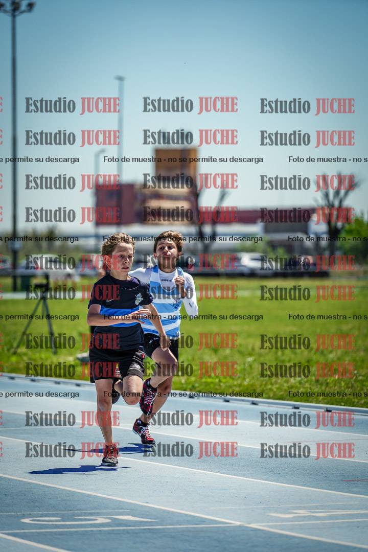 Fotos de los 60 m con vallas de varones