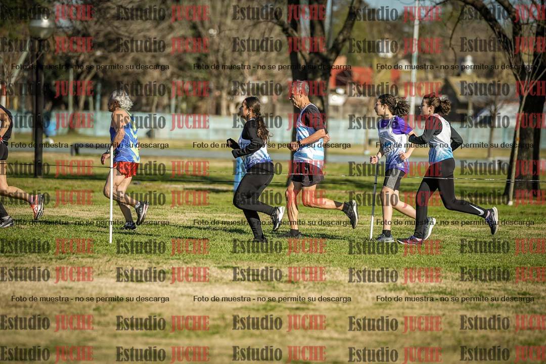 Fotos en el circuito