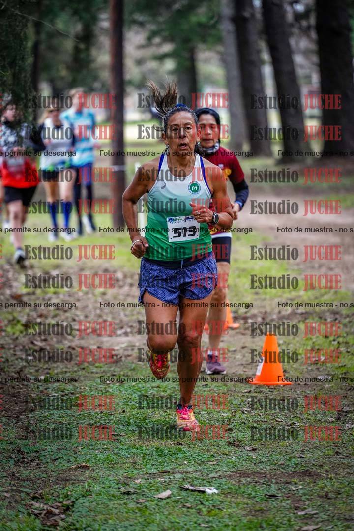 Fotos en el circuito