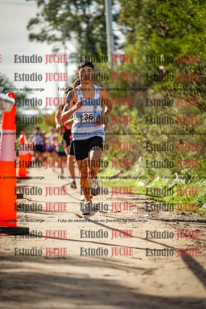 Fotos en el circuito