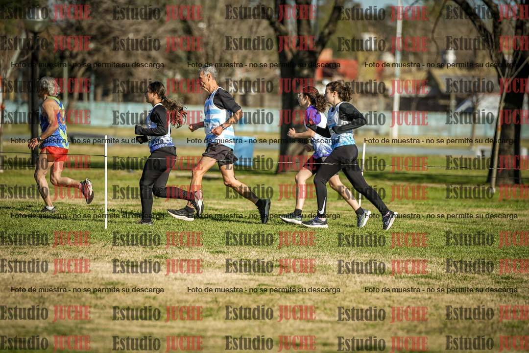 Fotos en el circuito