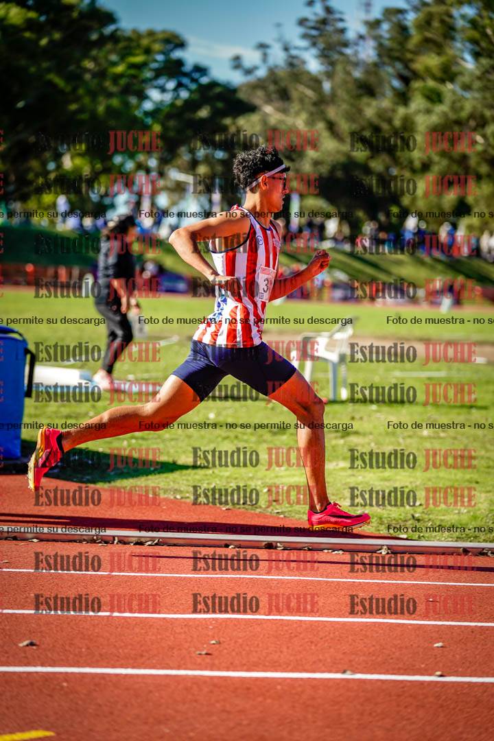 Fotos de los 800 m llanos de varones