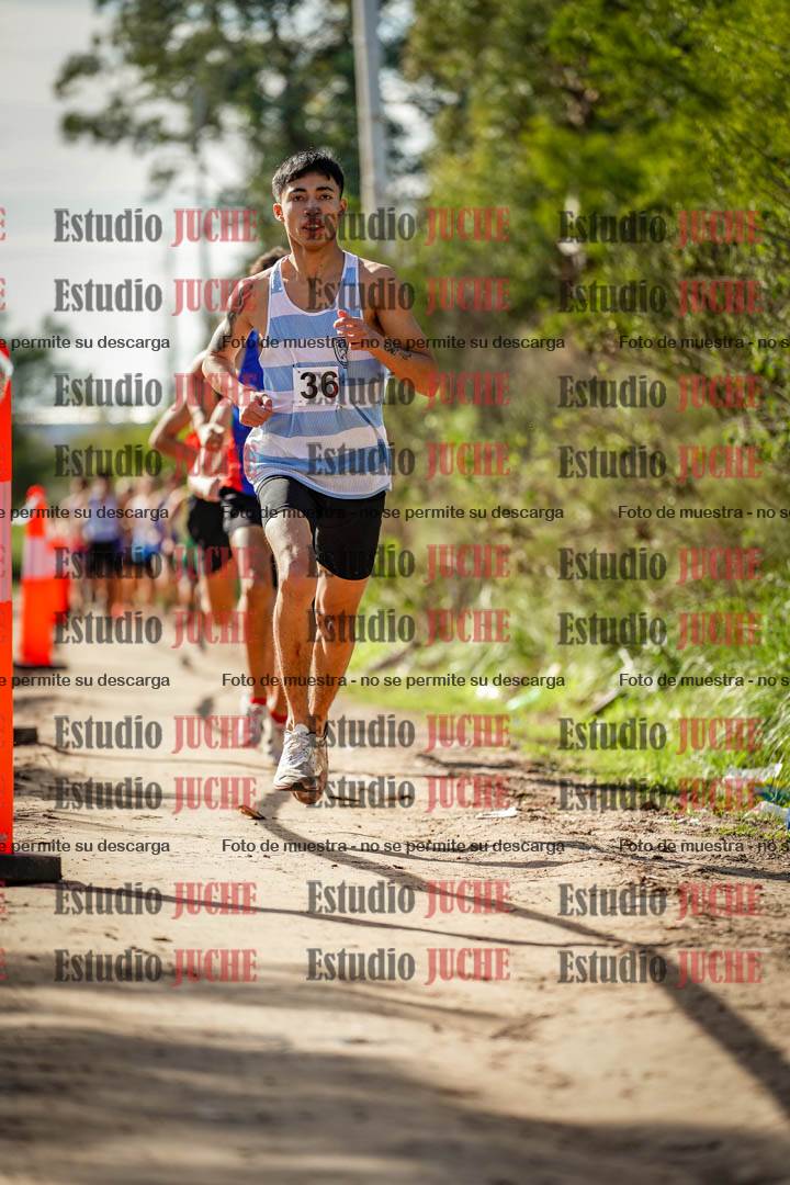 Fotos en el circuito