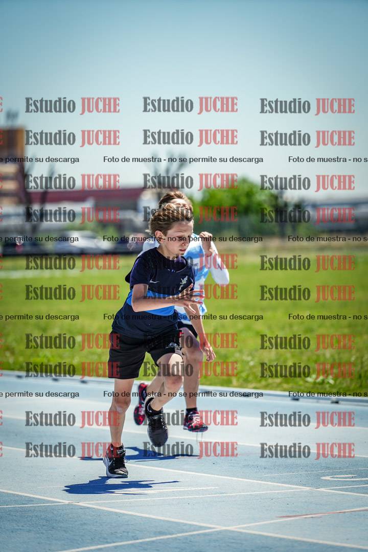 Fotos de los 60 m con vallas de varones