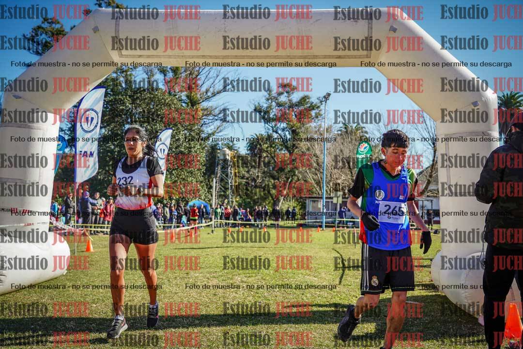 Fotos de la llegada del cross de 6000 m