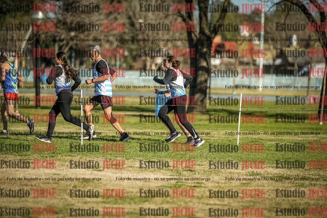 Fotos en el circuito