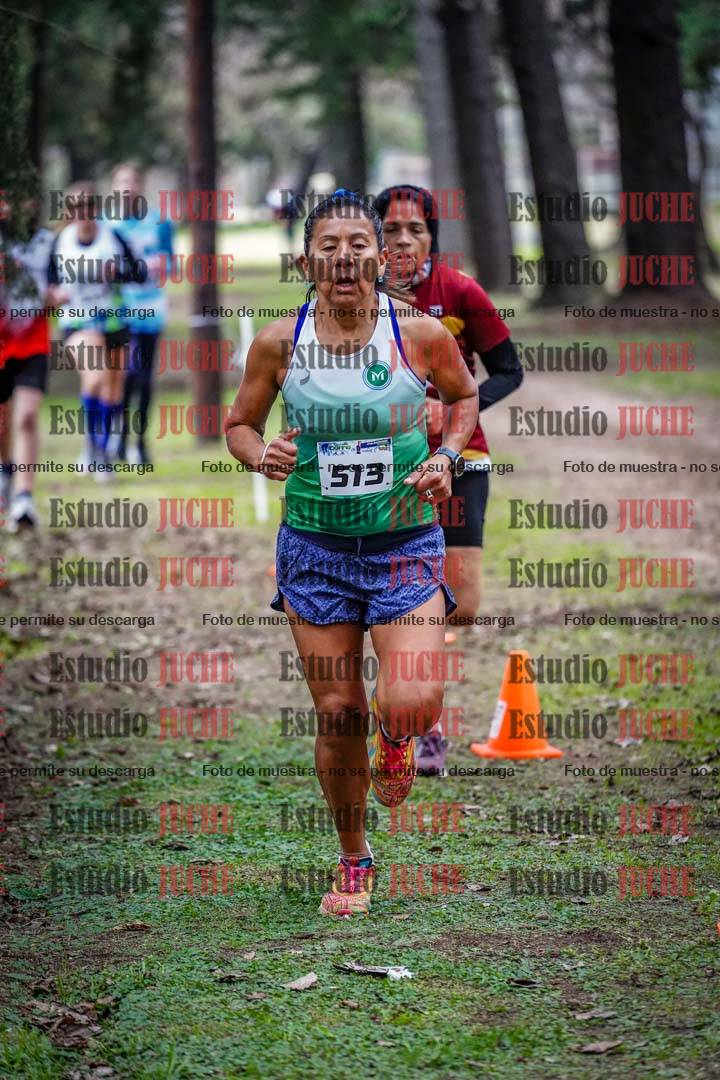 Fotos en el circuito