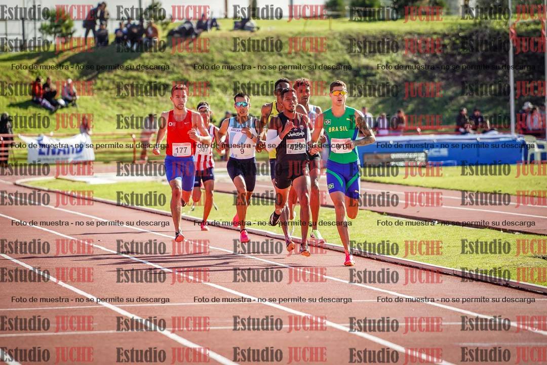 Fotos de los 800 m llanos de varones