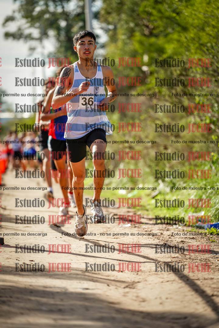 Fotos en el circuito