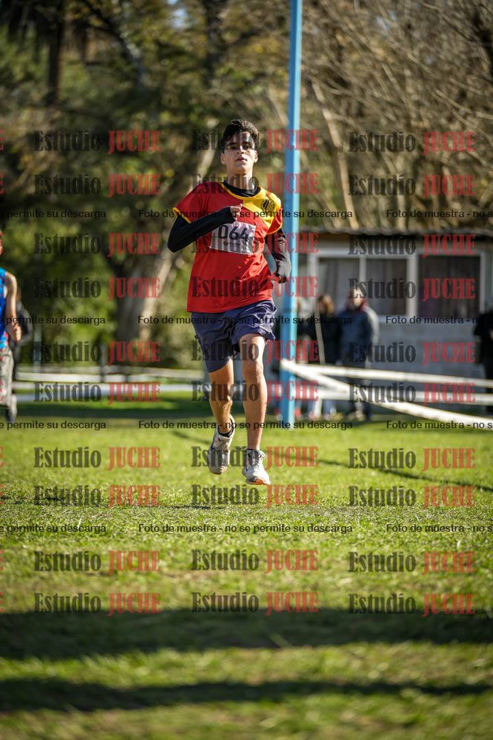 Fotos de la llegada del cross de 3000 m
