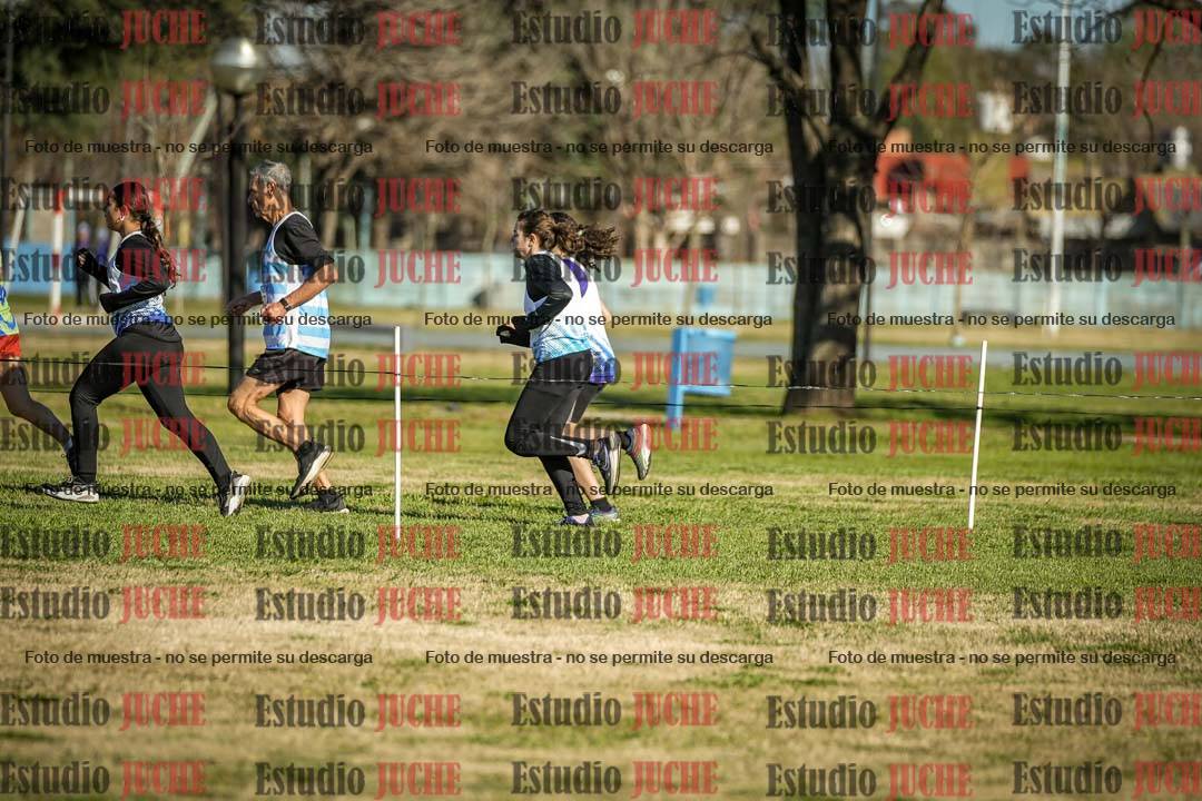 Fotos en el circuito