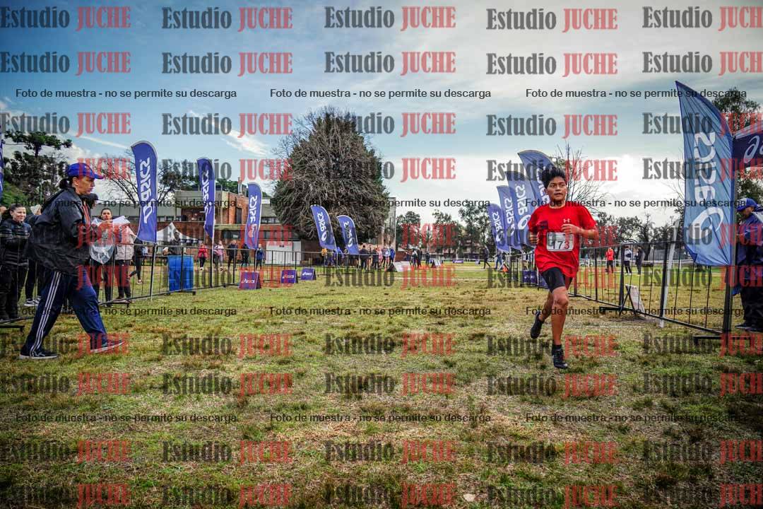 Fotos de la llegada