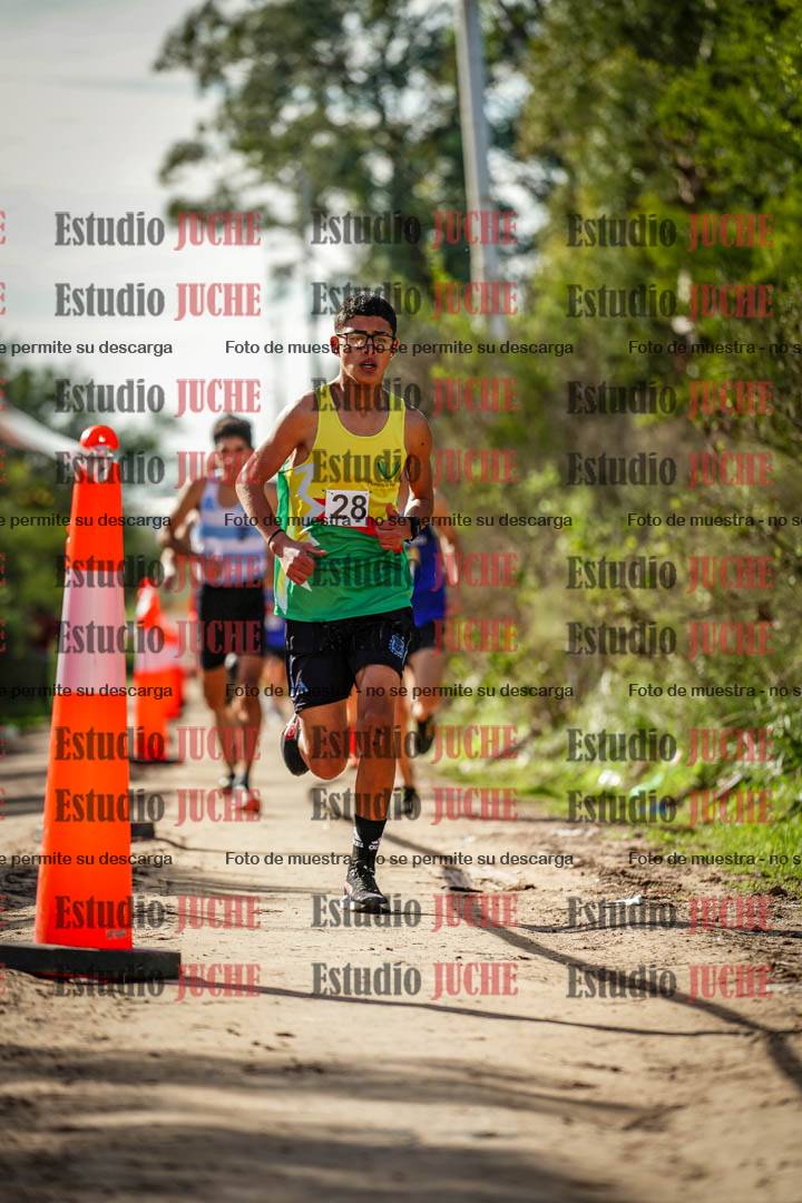 Fotos en el circuito
