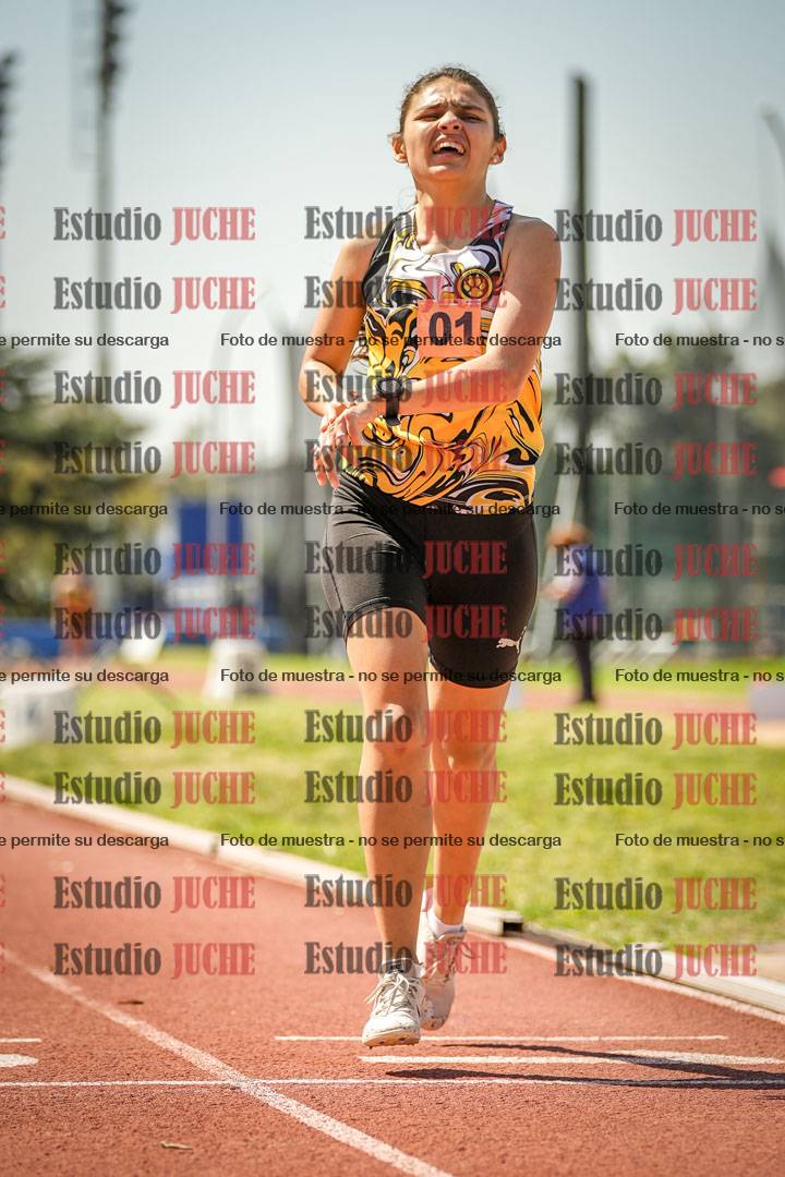 Fotos de los 1500 m llanos de mujeres