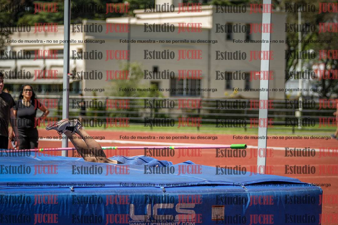 Fotos del salto en alto de varones