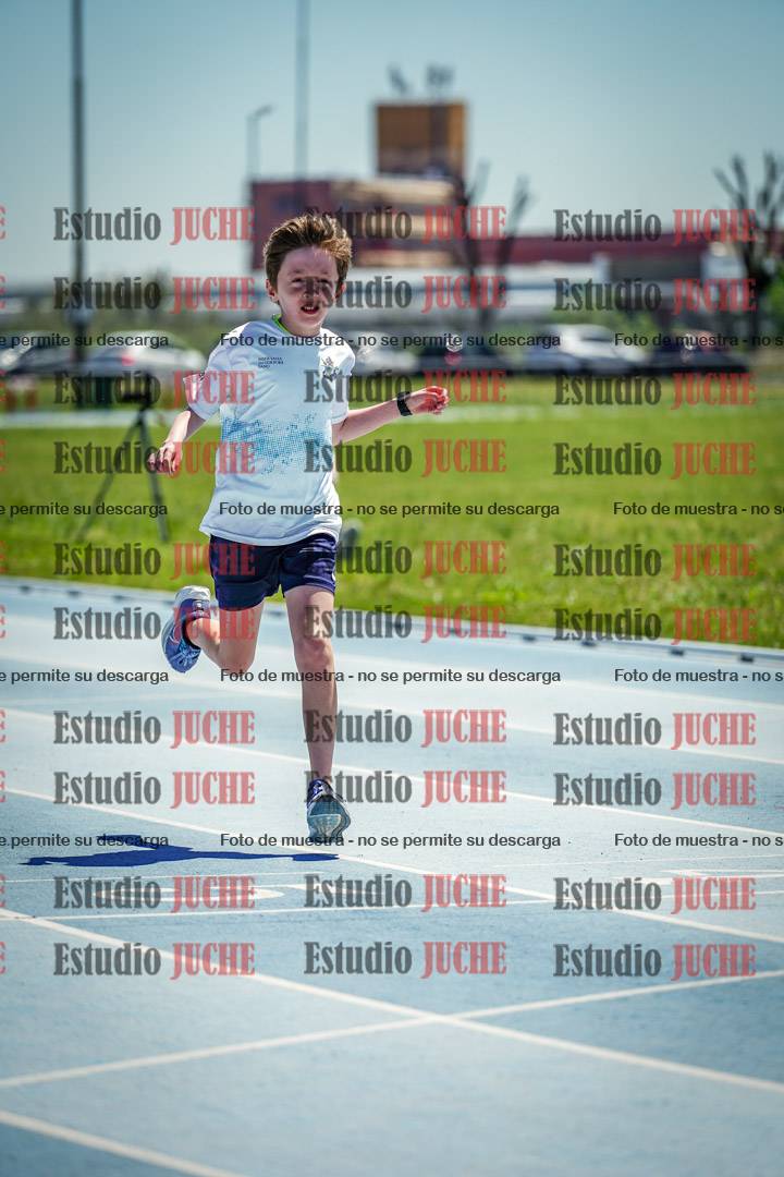 Fotos de los 60 m con vallas de varones