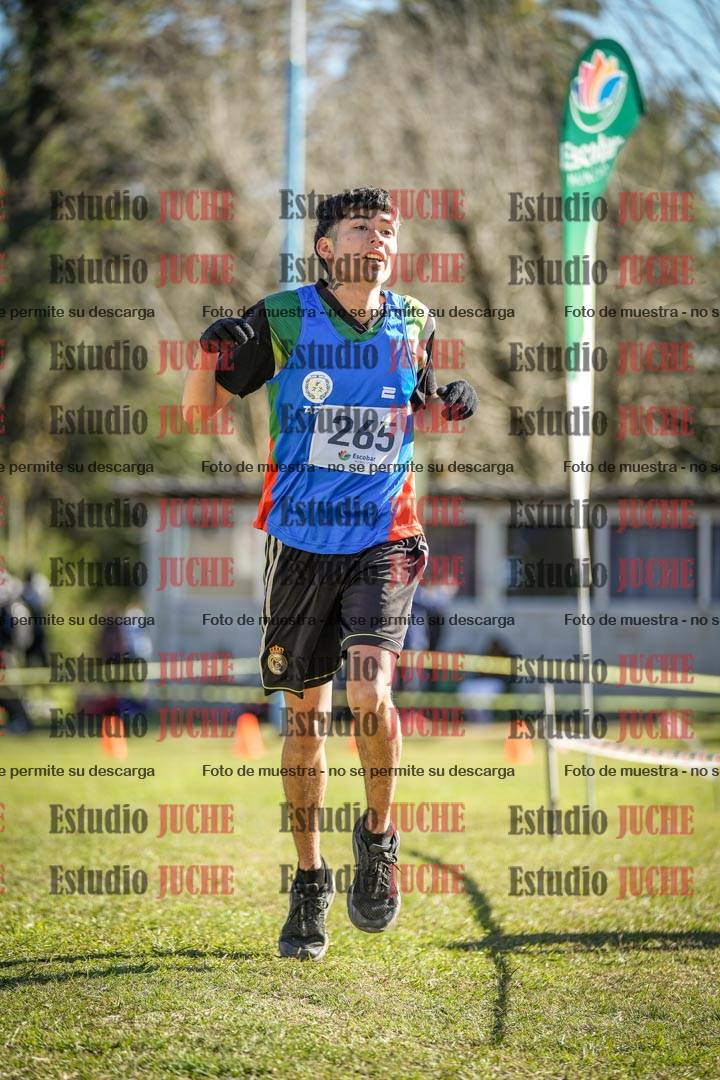Fotos de la llegada del cross de 6000 m